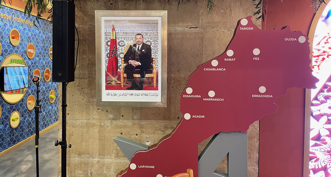 Roi Mohammed VI