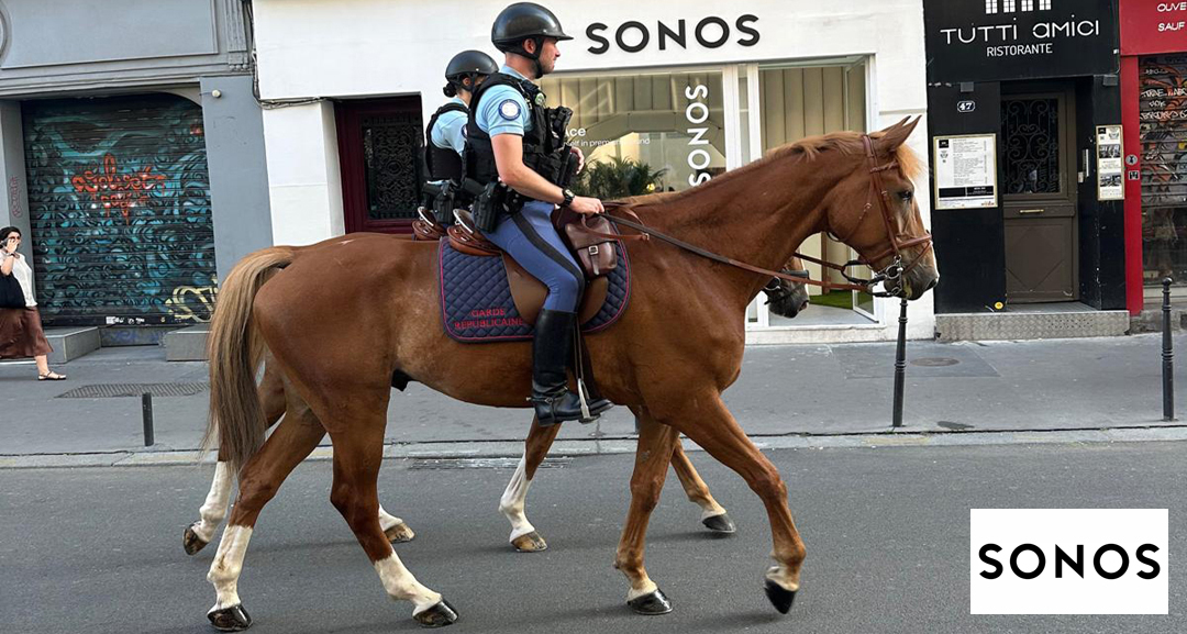 Garde Republicaine horses