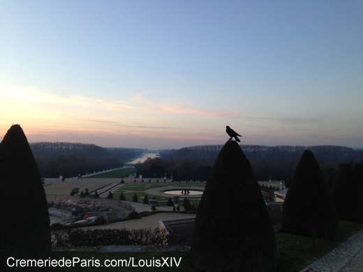 Oiseau dans le park de Versailles